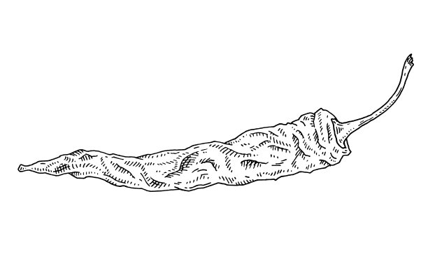 整只干辣椒。复古孵化黑色插图。图片下载
