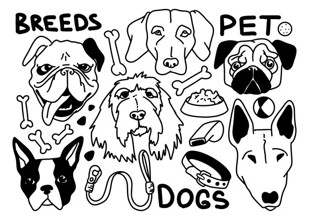 手绘线艺术涂鸦狗的品种。用于海报，印刷，卡片，明信片，设计，图案，商店，市场，商店，广告，纺织品，织物，着色书图片下载