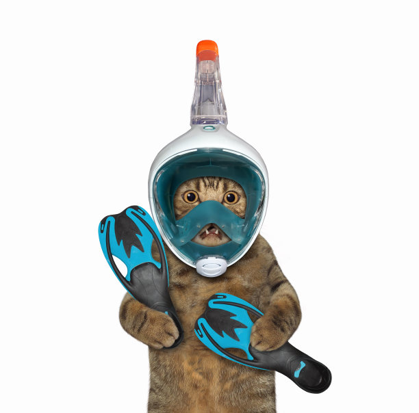 戴着潜水面具的猫图片下载