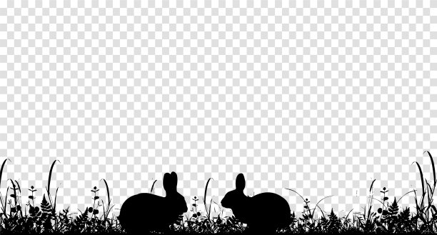 草自然剪影作为背景图片下载