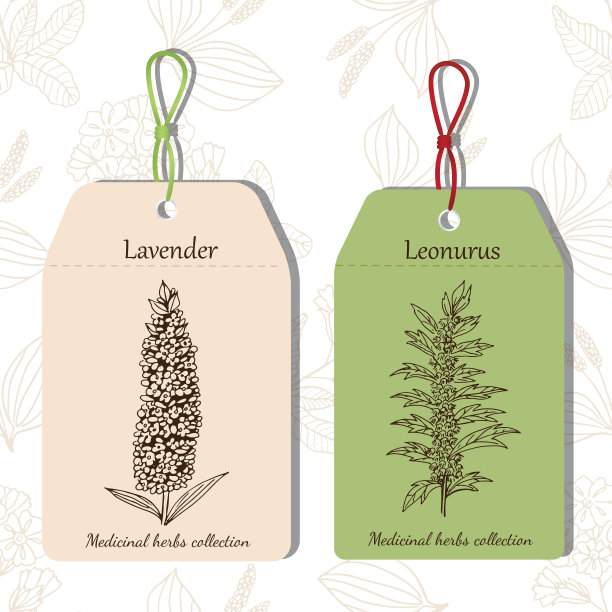 薰衣草我益母草图片下载