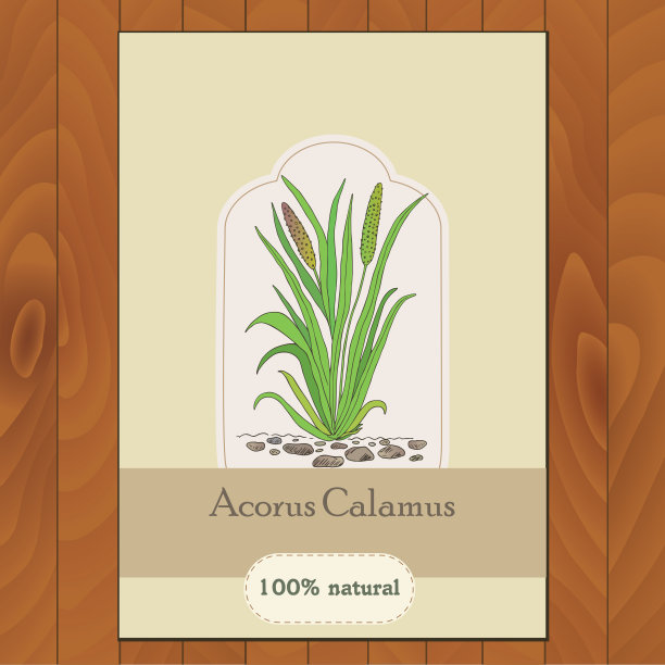 博洛特尼耶-12号飞机图片下载