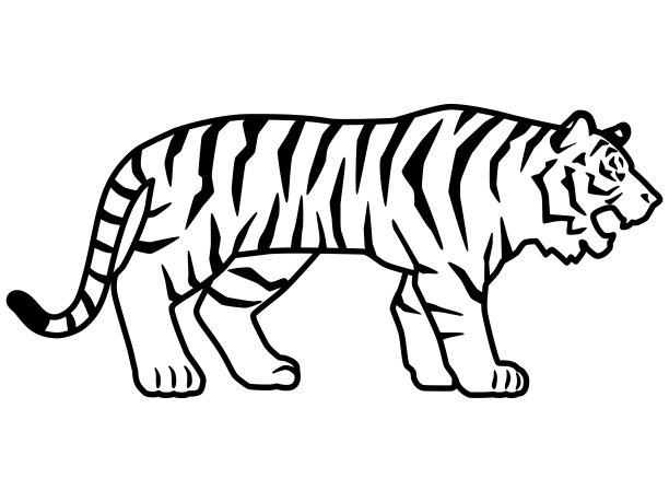 老虎剪影或线条画的插图材料。横盘整理。叫姿势。图片下载