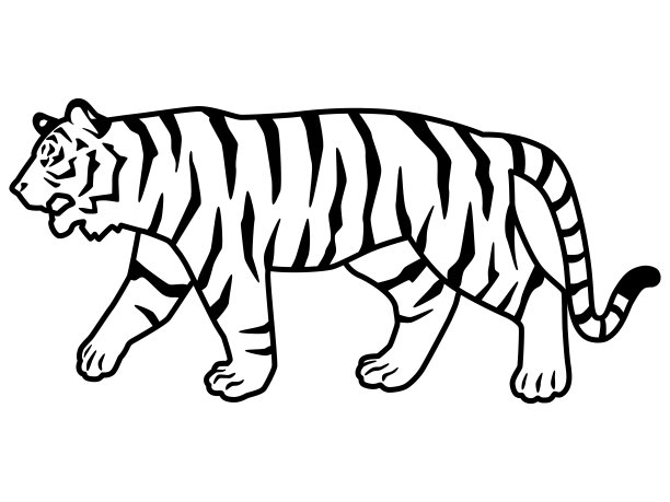 老虎剪影或线条画的插图材料。横盘整理。走路姿势。图片下载
