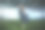 年轻漂亮的时装模特穿着裙子在一个大型体育场摆姿势图片下载