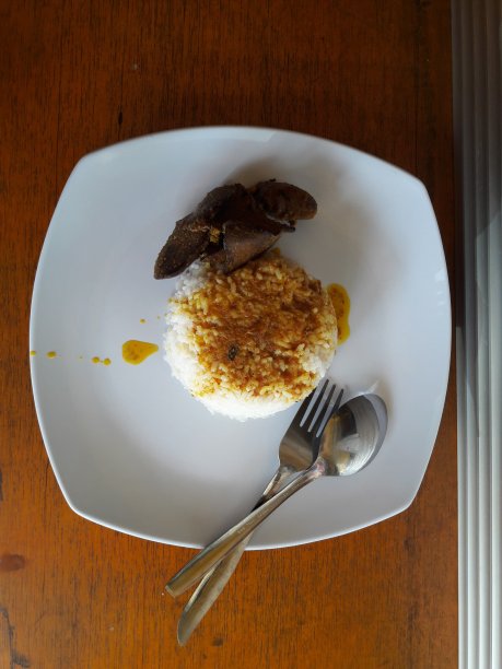 白色盘子上的米饭和配菜的照片图片下载