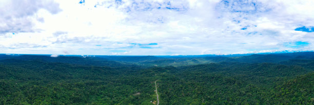 横贯亚马逊高速公路的空中全景图显示了一条穿过亚马逊雨林的道路图片下载