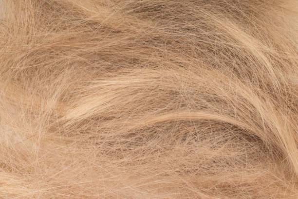 剪断了乱糟糟的金发，平躺着图片下载