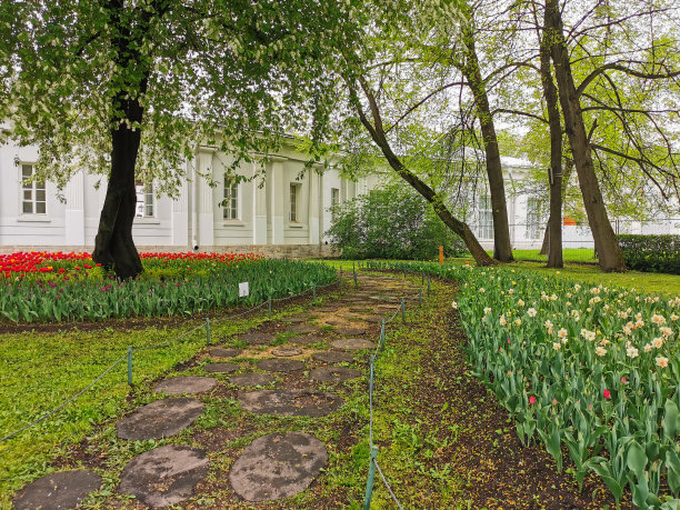 大花坛之间种着红色的郁金香和其他的郁金香，春天的一天，树木之间开辟出一条小径。圣彼得堡埃拉金岛上的郁金香节。图片下载