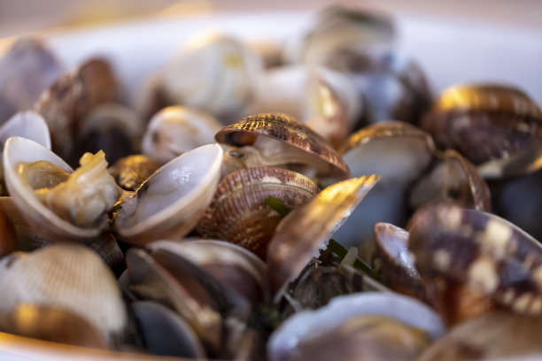 在当地的海鲜餐馆里用酒和酱汁煎蛤蜊图片下载