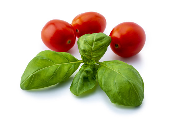 番茄与罗勒孤立在白色背景图片下载