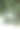 树荫下的高大树木在多云。图片下载