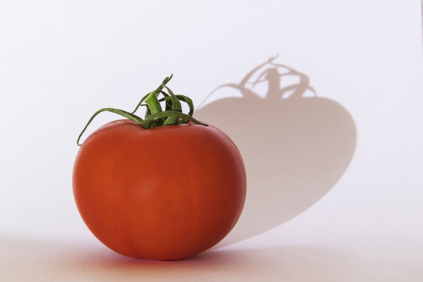 白色背景上有绿色茎的红色番茄图片下载
