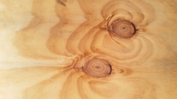 关闭背景的老树。图片下载