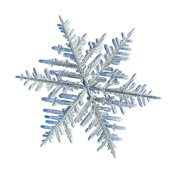 真正的雪花孤立在白色的背景图片下载