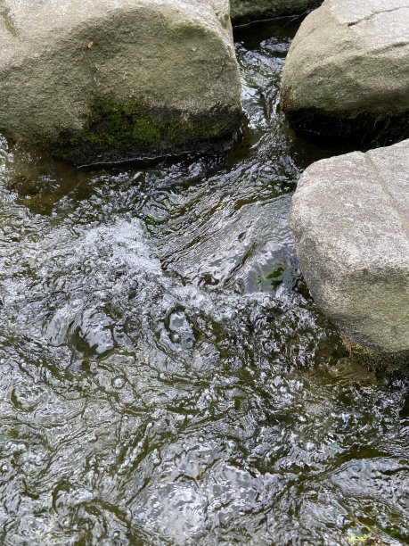 小溪或流图片下载