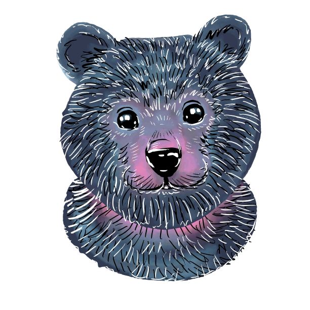 一只可爱的熊在看我们。手绘风格的插图。为儿童设计的蓝色可爱泰迪熊。在一个孤立的白色背景上图片下载