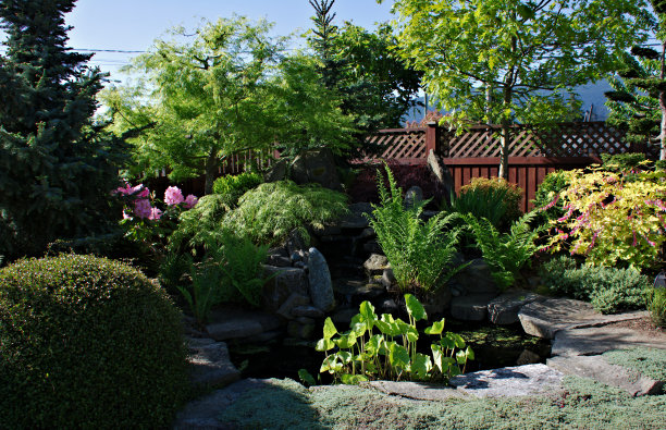 花园池塘图片下载