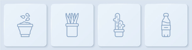 把线种子放在碗状仙人掌仙人掌花盆植物图片下载