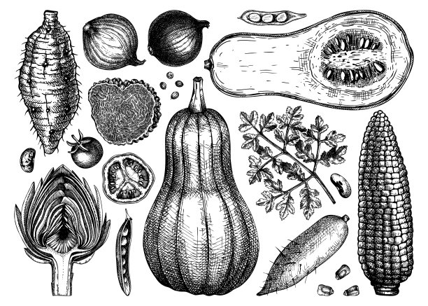 收集蔬菜、蘑菇和药草图片下载