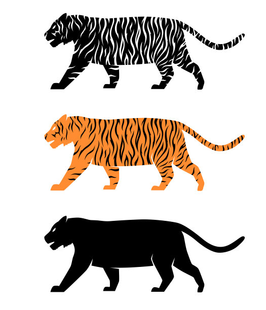 老虎与条纹矢量剪影集合。插图孤立在白色背景上图片下载