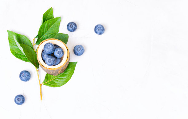 蓝莓装在白色背景上有树枝的木碗里图片下载