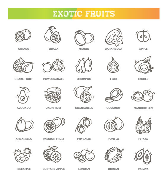 水果异国情调的水果素食-平面图标集图片下载