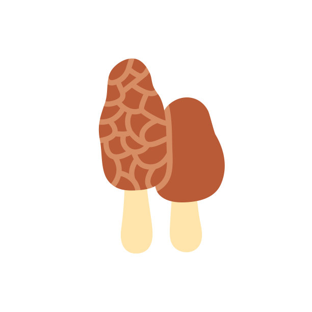 毛雷尔图标孤立的平色图标图片下载