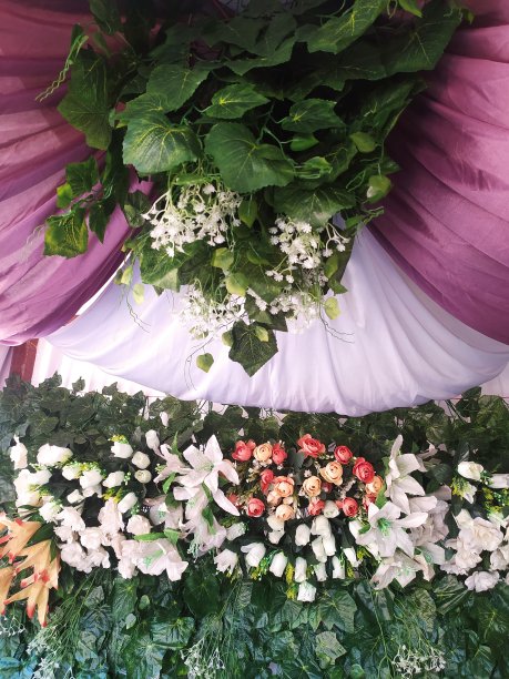 塑料花图片下载