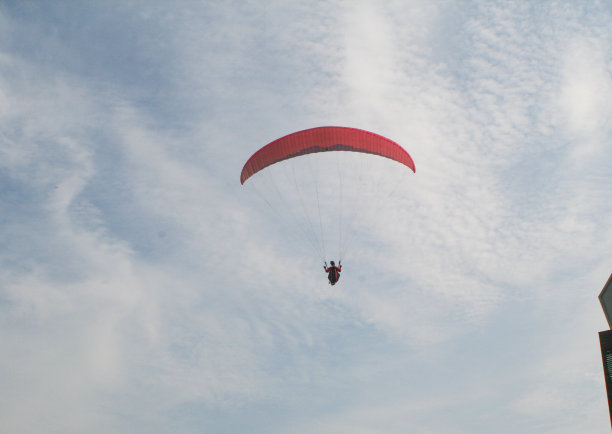 在天空中滑翔图片下载