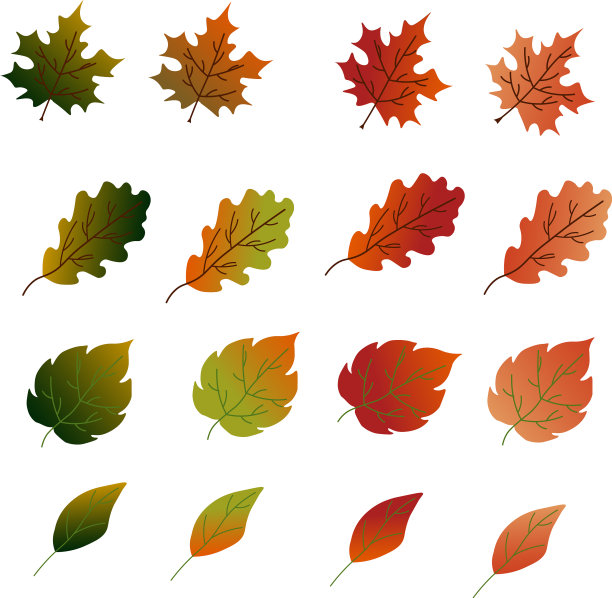 彩色的秋天树叶一套树叶-枫树图片下载