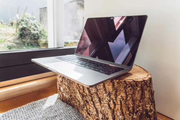 笔记本电脑放在树皮树干上，窗外透出怡人的阳光。产品照片。图片下载