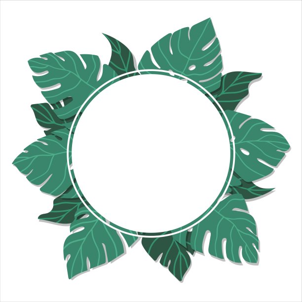 Monstera叶子帧向量插图02图片下载