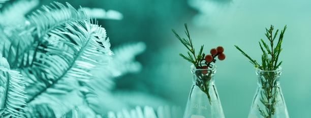 绿色野生植物瓶装化妆品研究科学实验室旗帜背景图片下载