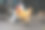 铁栏里的公鸡图片下载