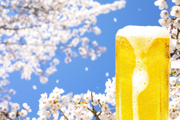 一杯啤酒的图像，背景是樱花和蓝色的天空滴泡沫和水滴。图片下载