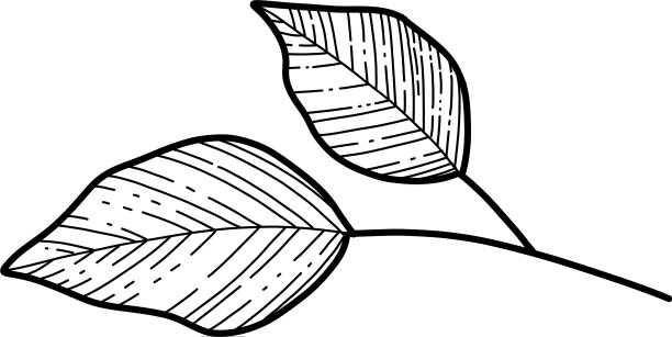 自由手樱花叶美图片下载