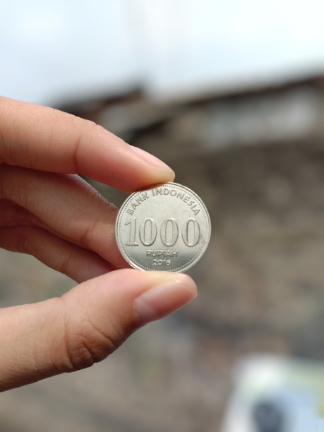 一美元硬币。图片下载