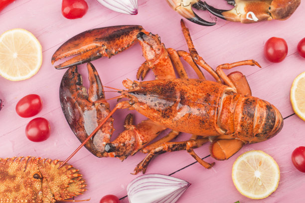 海鲜晚餐，以新鲜的龙虾、螃蟹、贻贝、牡蛎为背景图片下载