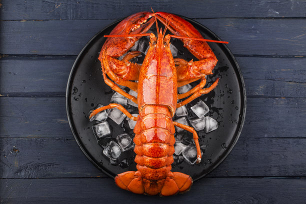 海鲜盛宴柠檬和冰上的新鲜波士顿龙虾图片下载