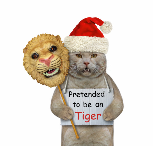 猫假扮老虎图片下载