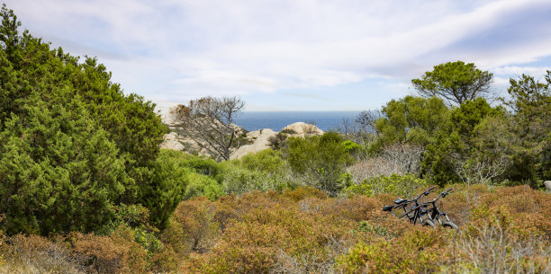 (选择性聚焦)两辆山地车停在通往Cala Caprarese的人行道上，Cala Caprarese位于意大利撒丁岛马达莱纳群岛美丽的卡普里拉岛。图片下载