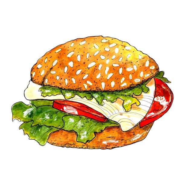 与鸡肉三明治。水彩手绘插图。食物收集图片下载