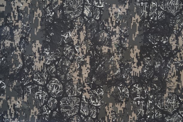 带有迷彩图案的迷彩织物图片下载