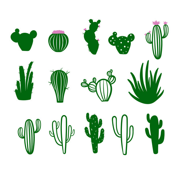 集仙人掌涂鸦多种图片下载