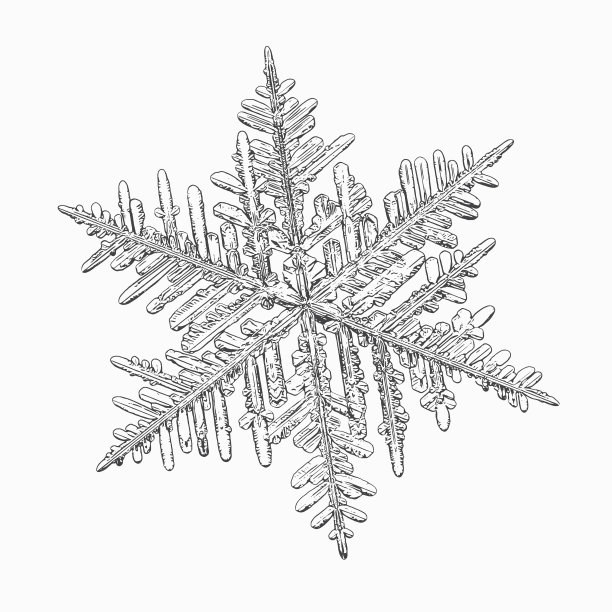 真正的雪花孤立在白色的背景图片下载