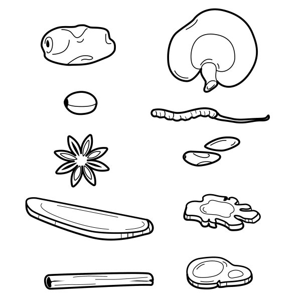 干中草药图片下载