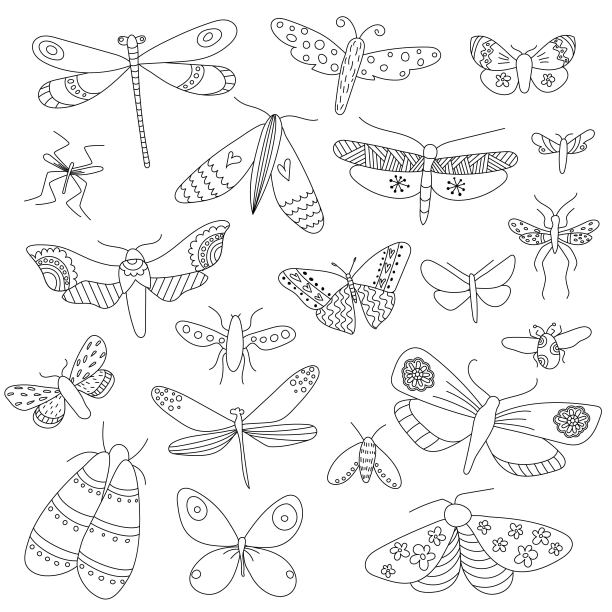 一套20个美丽的有翅昆虫，装饰不同的装饰品孤立在白色的背景上。所有对象都是分离的。矢量插图。手绘图片下载