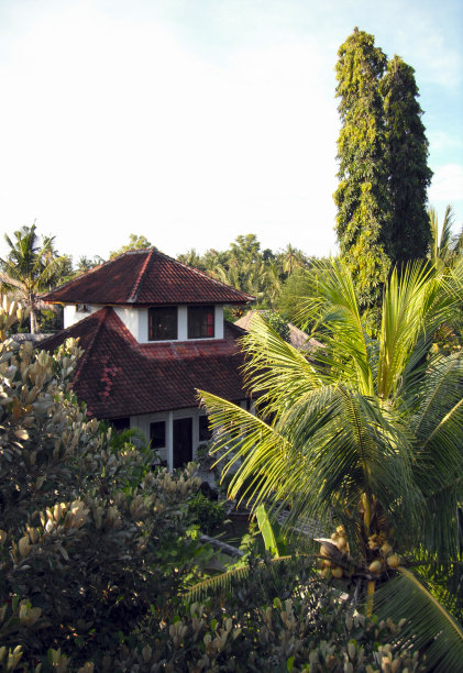 印尼巴厘岛森林中的房子图片下载