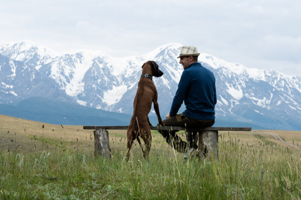 一个男人带着一只狗坐在长凳上欣赏山景。和狗一起旅行。罗得西亚脊背犬与其主人一起旅行图片下载